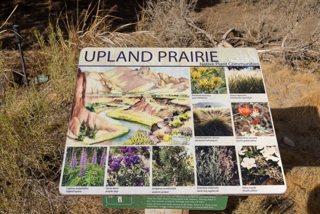 smith-rock-state-park-013