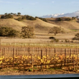 Santa Barbara Wine Country Tours