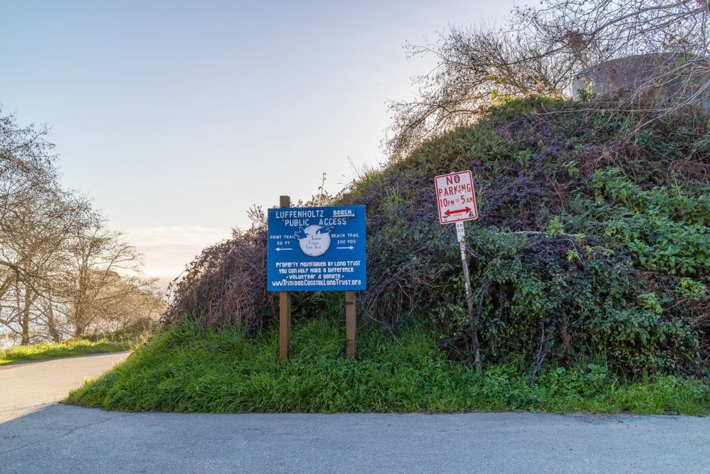 luffenholtz-beach-002