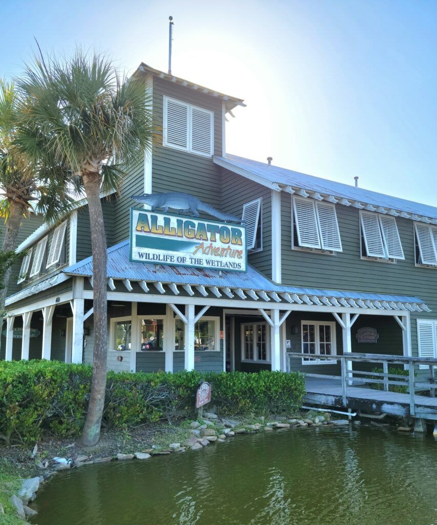 alligator-adventure-001