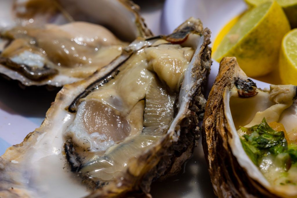 el-barco-ostionera-y-restaurante-oyster-farm-011