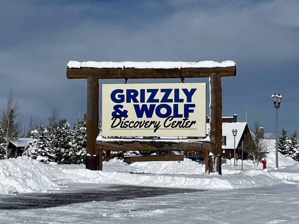 grizzly-and-wolf-discovery-center-004