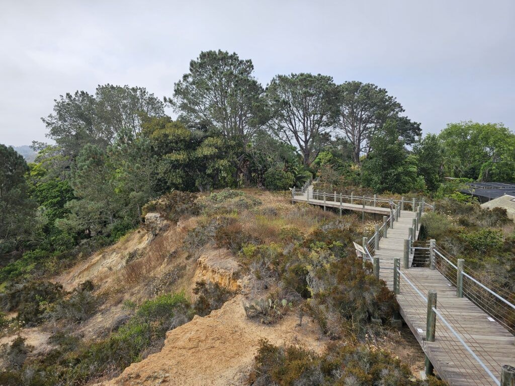 san-diego-botanic-garden-003