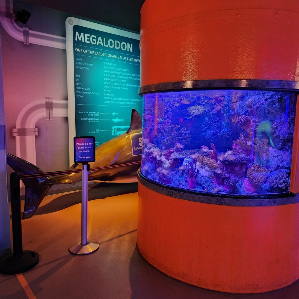 sea-life-aquarium-017