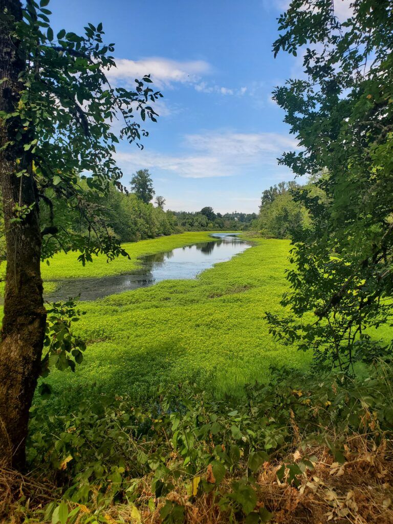 minto-brown-island-park-007