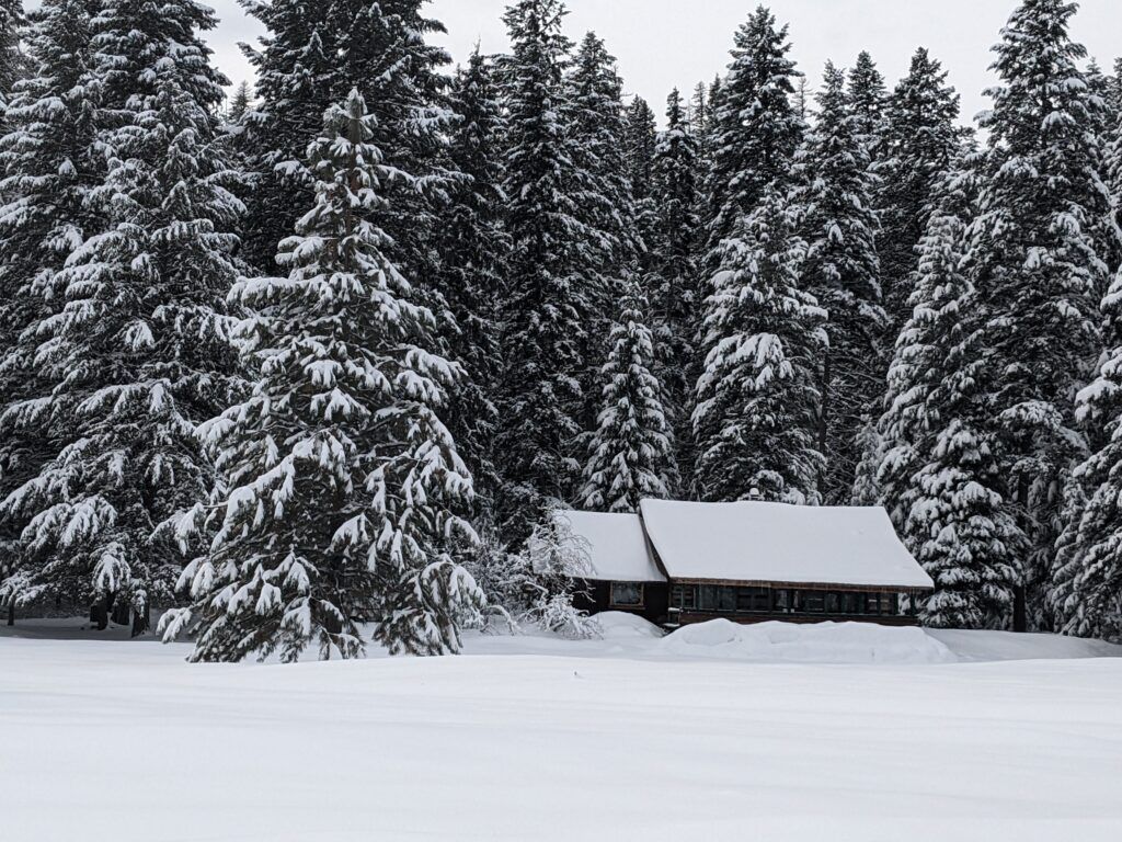 flathead-national-forest-003