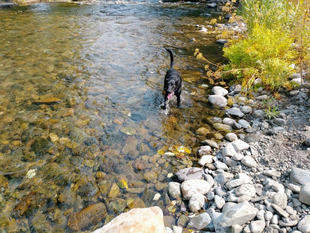 warm-springs-preserve-002