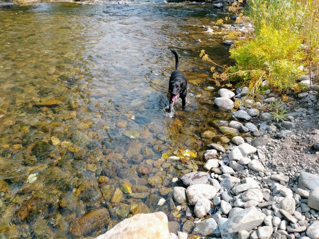 warm-springs-preserve-002