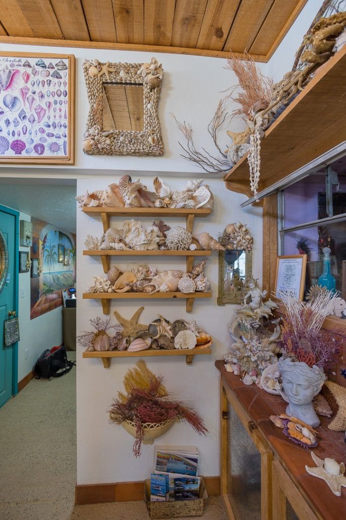 the-seashell-museum-and-sea-debris-shop-007