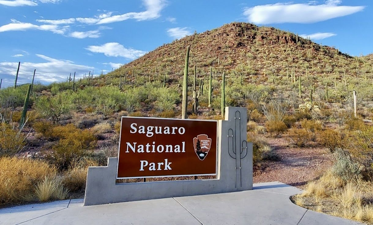 Saguaro Nat Park.jpeg