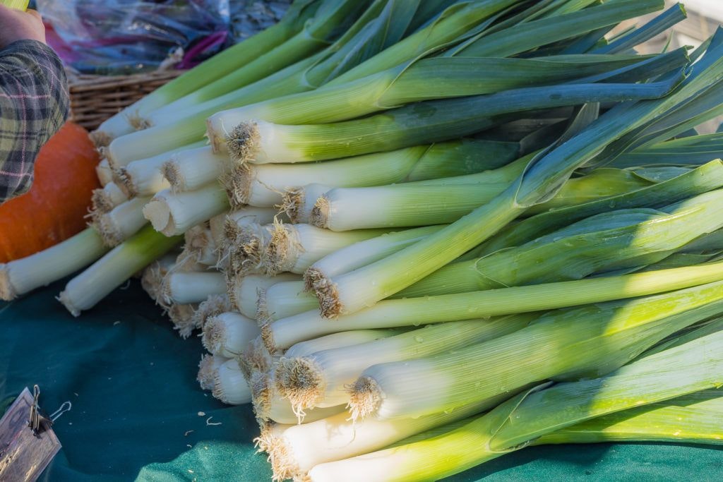 arcata-plaza-farmer-s-market-011