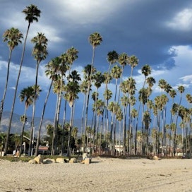East Beach - Santa Barbara