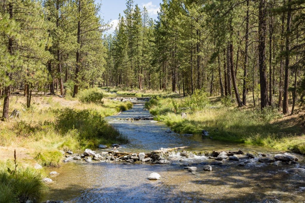 natural-water-slides-hike-and-paulina-plunge-tour-027