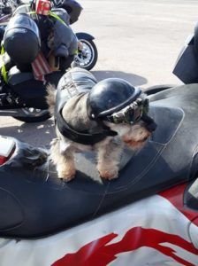 rocky-point-motorcycle-rally-006