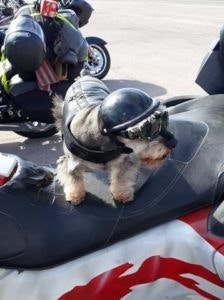 rocky-point-motorcycle-rally-006