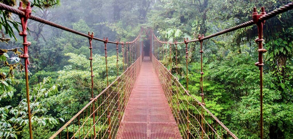 the-original-canopy-tour-monteverde-003