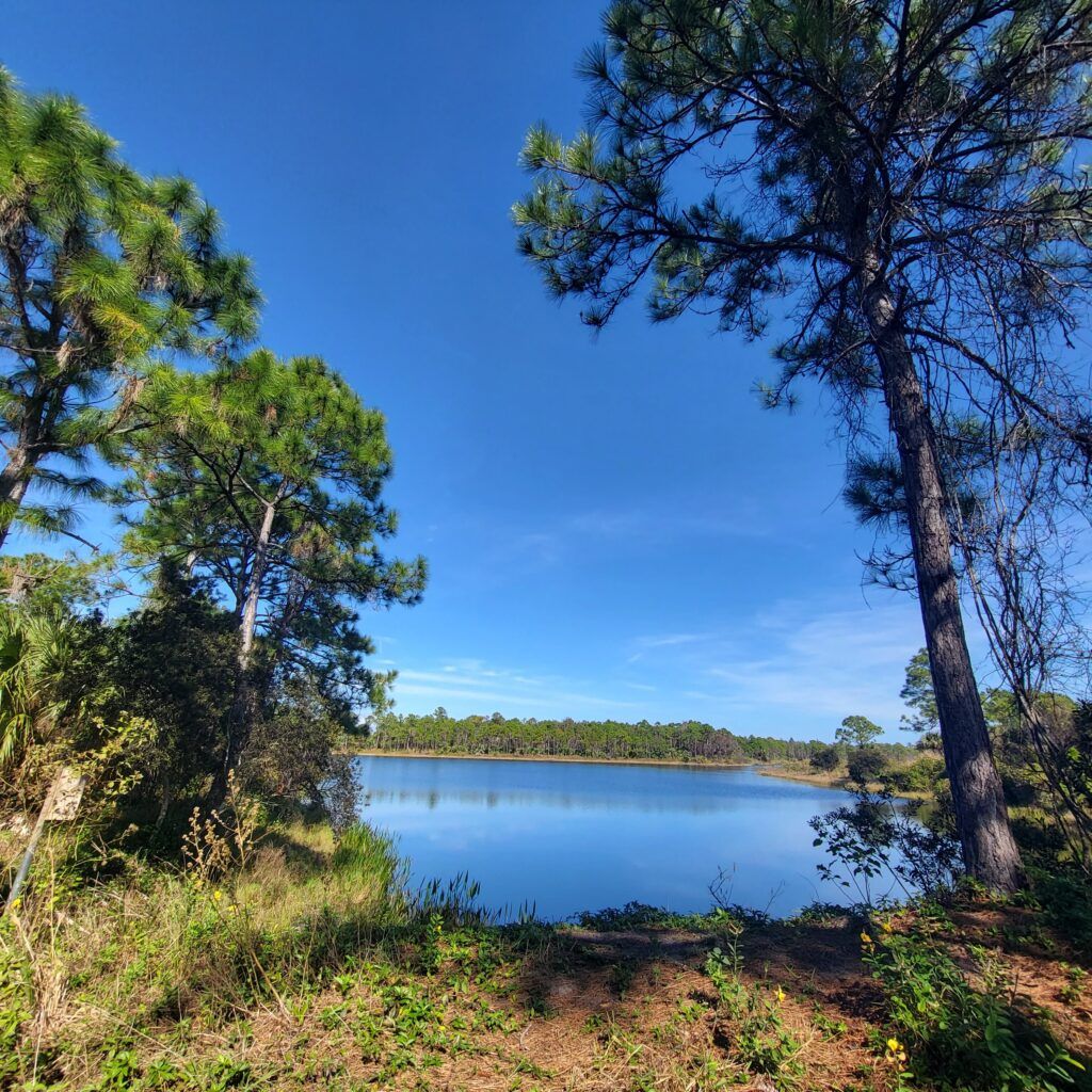 Halpatiokee Regional Park