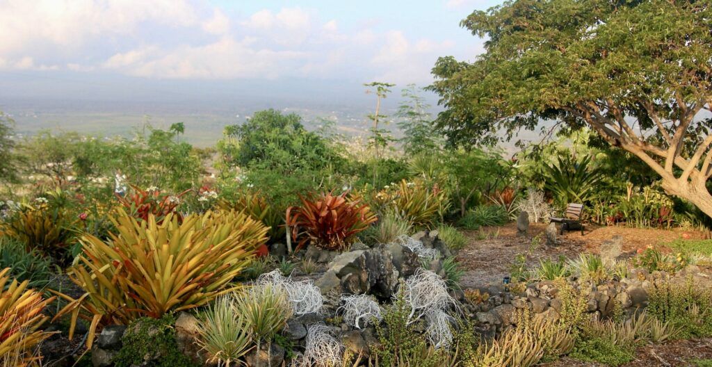 maka-eo-walking-path-004