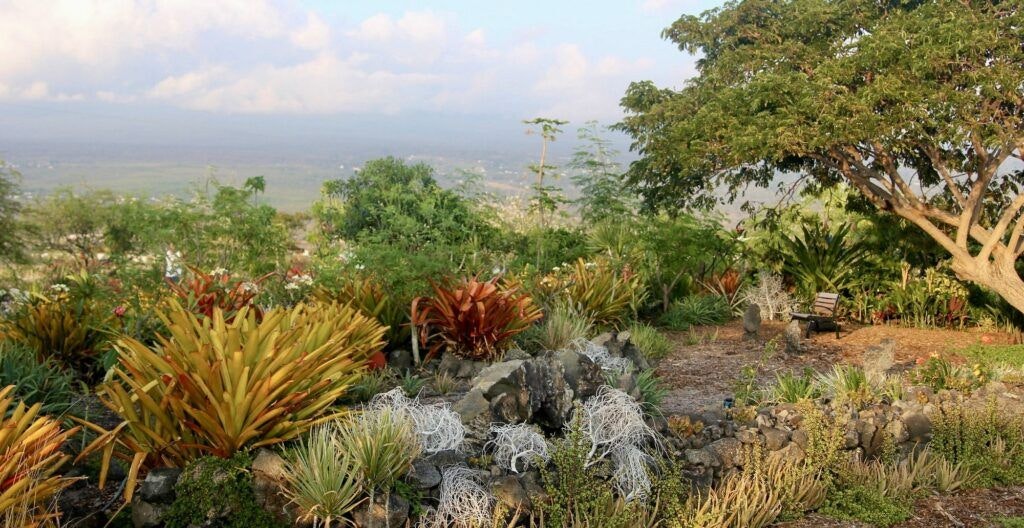 maka-eo-walking-path-004