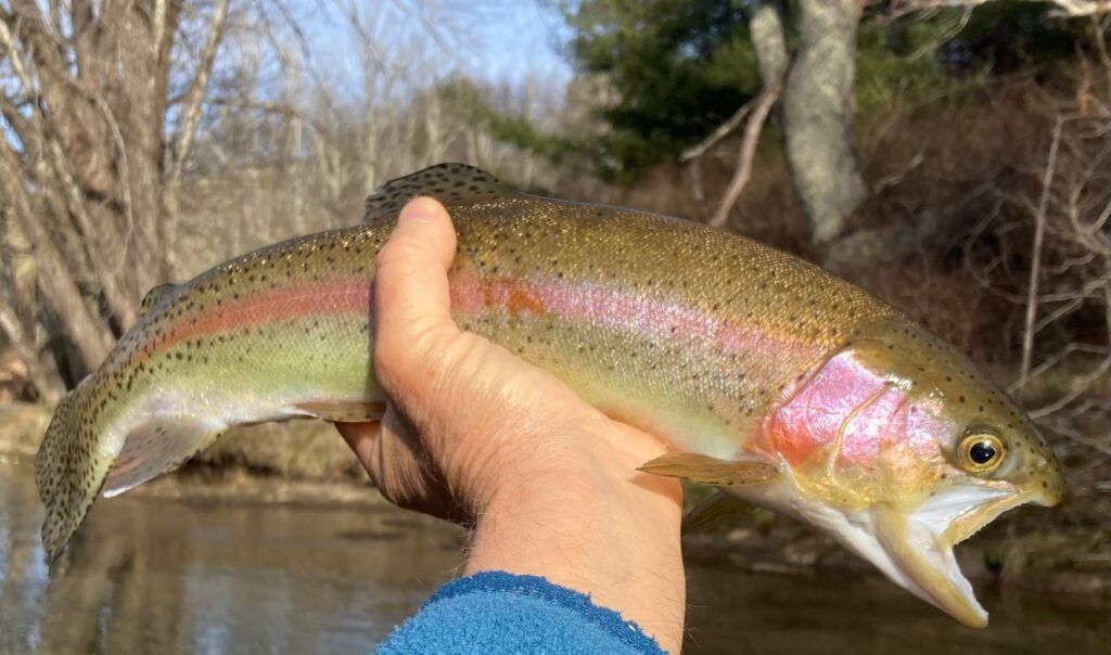 new-river-trips-llc-004