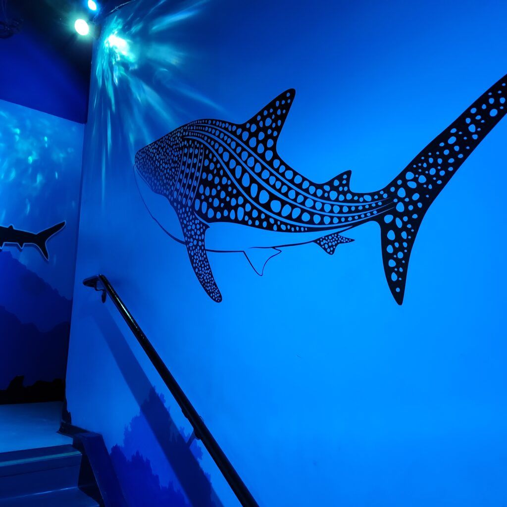 sea-life-aquarium-009