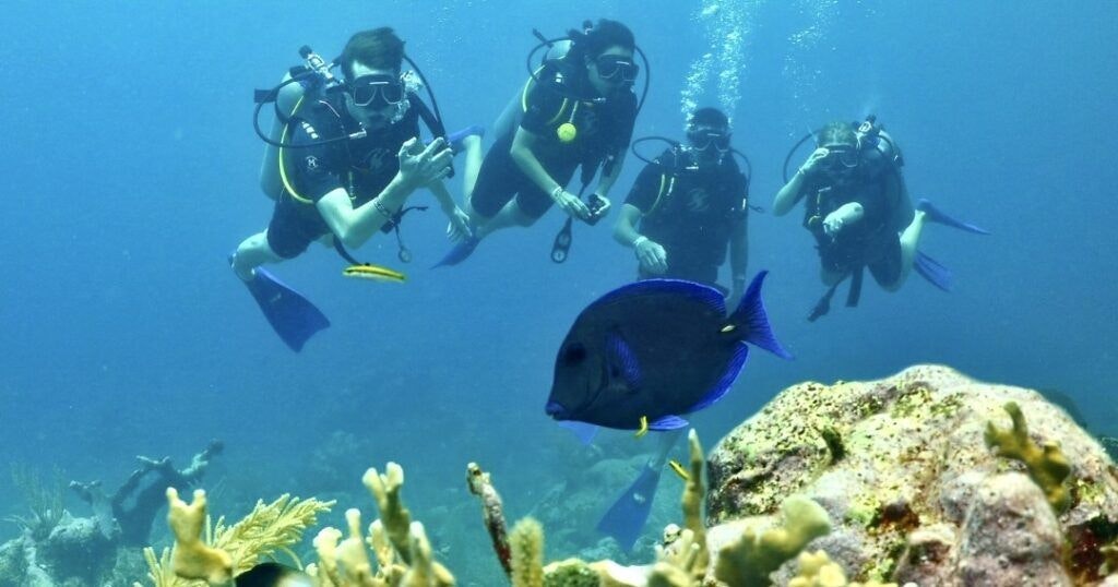 akumal-dive-shop-004