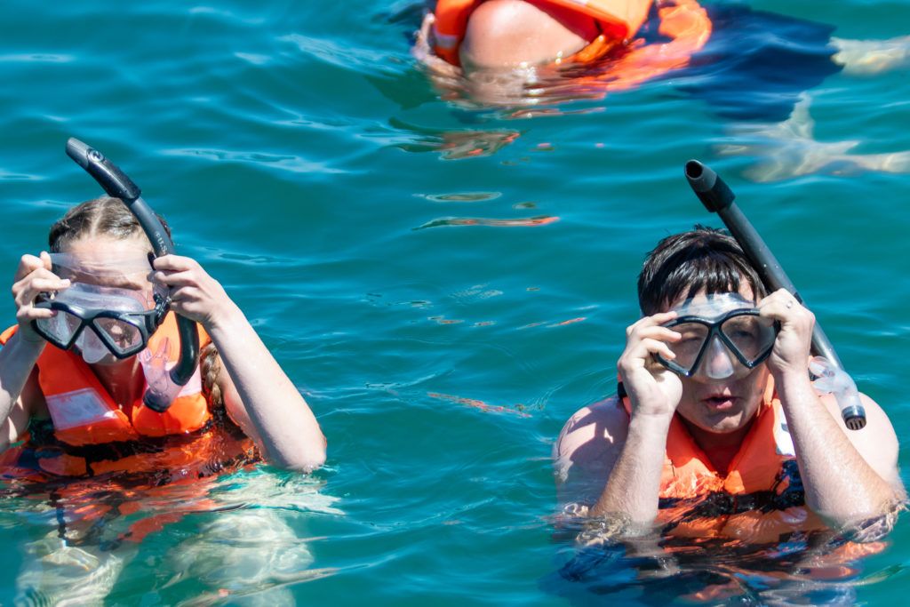 bird-island-isla-san-jorge-019