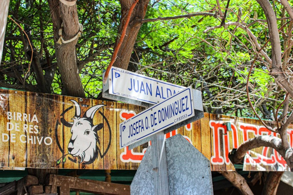 birrieria-los-mezquites-004