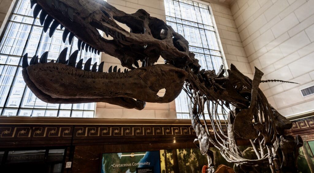 texas-science-and-natural-history-museum-003