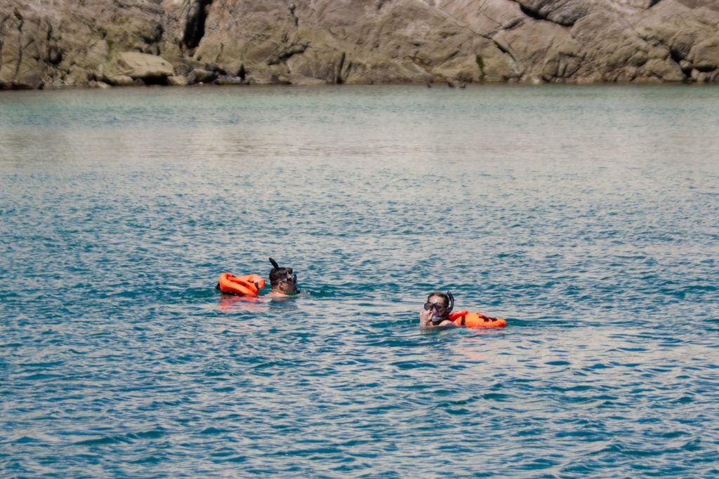 bird-island-isla-san-jorge-021