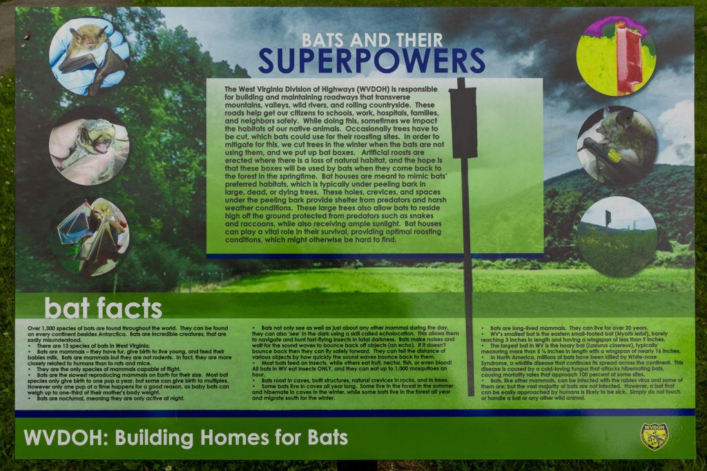 cass-scenic-railroad-tours-017